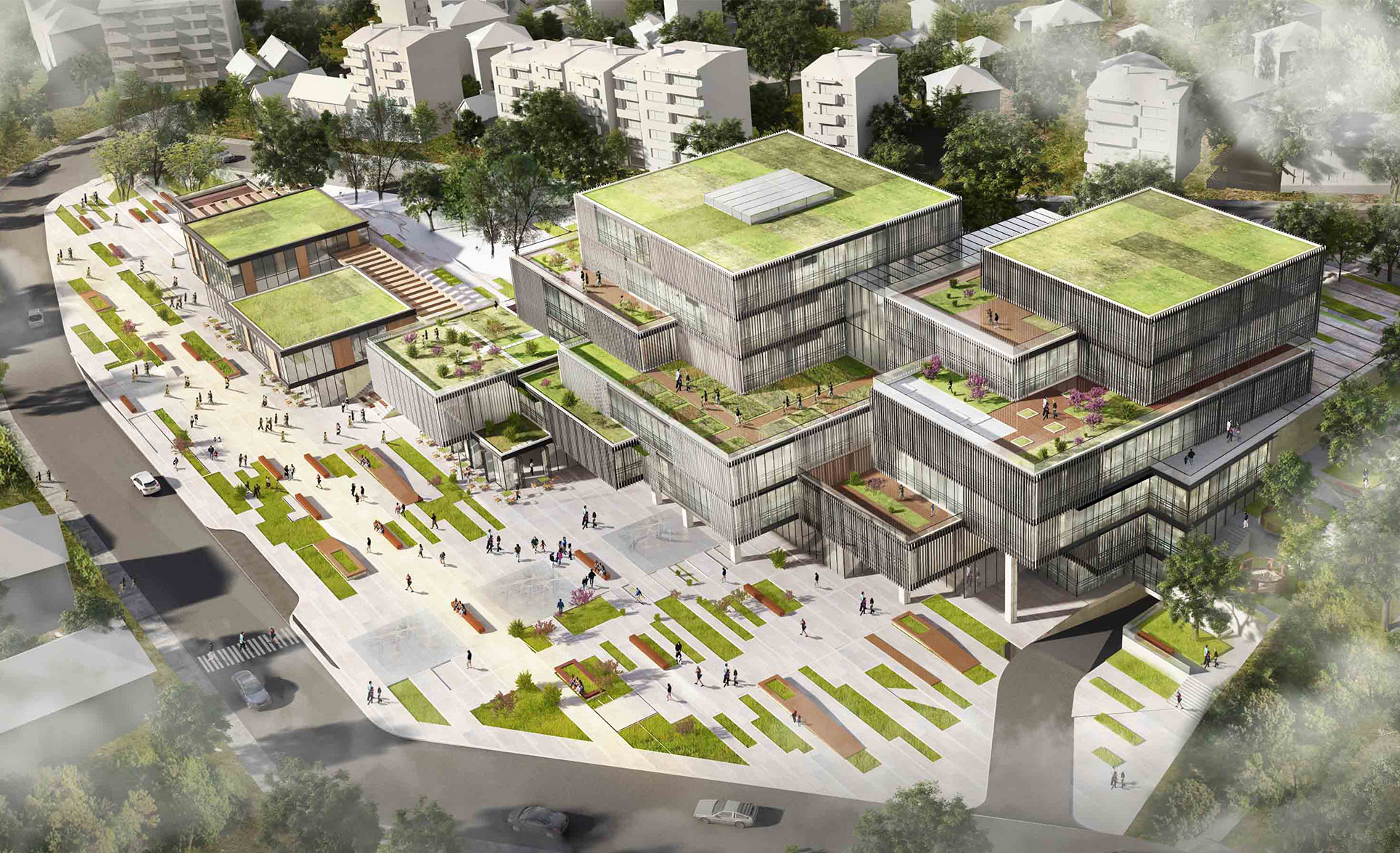 الإدارة المحلية وإدارة البلديـات